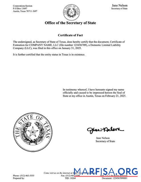 Blank USA Texas certificate of fact Word and PDF template